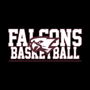 Boy Falcons