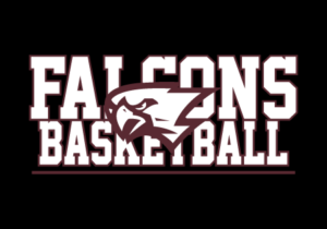 Boy Falcons